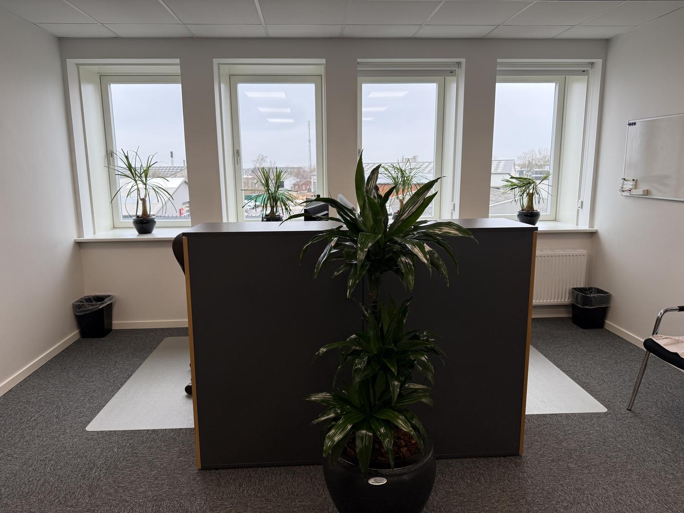 Lyst og moderne kontormiljø  velegnet til mange typer erhverv - Attraktiv placering i Slagelse tæt på motorvej og hovedvej billede 11